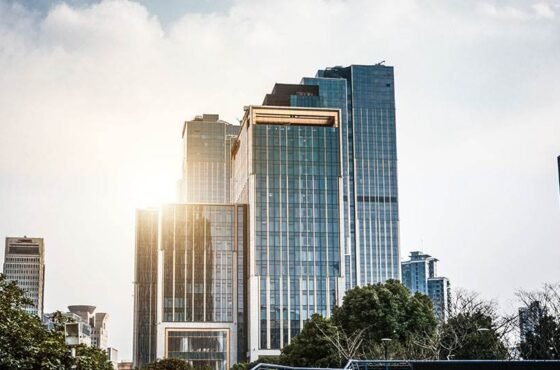 New Development Projects Launched